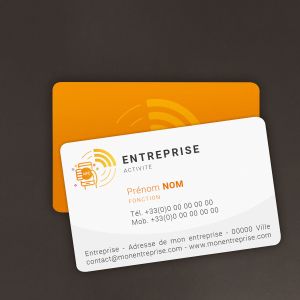 Cartes PVC